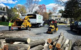 Best Seasonal Cleanup (Spring/Fall)  in Glenmoor, OH